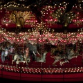 314-0038 House on the Rock - Carousel